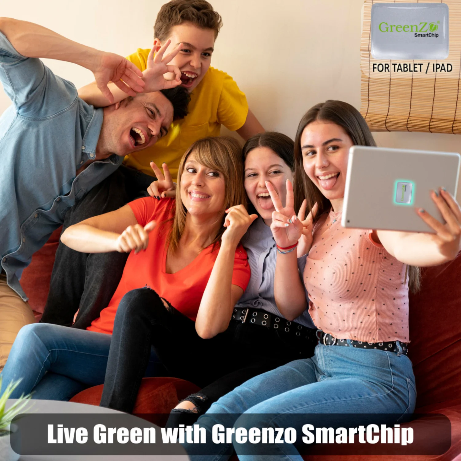 Greenzo Anti Radiation Protection Chip For Tab / I Pad Silver - Image 4